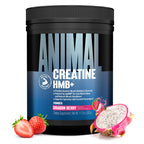 Animal Creatine HMB Powder – 3g myHMB + 5g Creatine with Electrolytes for Recovery & Daily Energy – Dragon Berry Flavor, 30 Servings