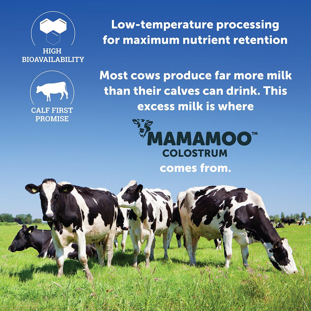 MamaMoo™ Colostrum Powder >50% IgG, Grass Fed, First & Only Non GMO Verified, Gut Health Bloating Immunity, Contains 400+ Bioactive Nutrients, Third Party Lab Tested, 60 Servings (Unflavored)