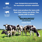 MamaMoo™ Colostrum Powder >50% IgG, Grass Fed, First & Only Non GMO Verified, Gut Health Bloating Immunity, Contains 400+ Bioactive Nutrients, Third Party Lab Tested, 60 Servings (Unflavored)