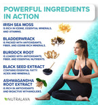 NUTRALAVA Sea Moss Capsules - Irish Sea Moss Black Seed Oil Ashwagandha - Immune Thyroid Joint & Gut Support - Gluten-Free Non-GMO GMP - 60 Count