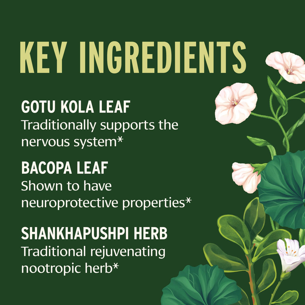 Banyan Botanicals Focus Liquid Extract – Organic Focus Supplement – Liquid Extract in Non-Alcoholic Glycerin – Nootropic Herbs for Fast-Acting Support* – 1 oz. – Non-GMO Sustainably Sourced Vegan