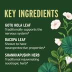 Banyan Botanicals Focus Liquid Extract – Organic Focus Supplement – Liquid Extract in Non-Alcoholic Glycerin – Nootropic Herbs for Fast-Acting Support* – 1 oz. – Non-GMO Sustainably Sourced Vegan