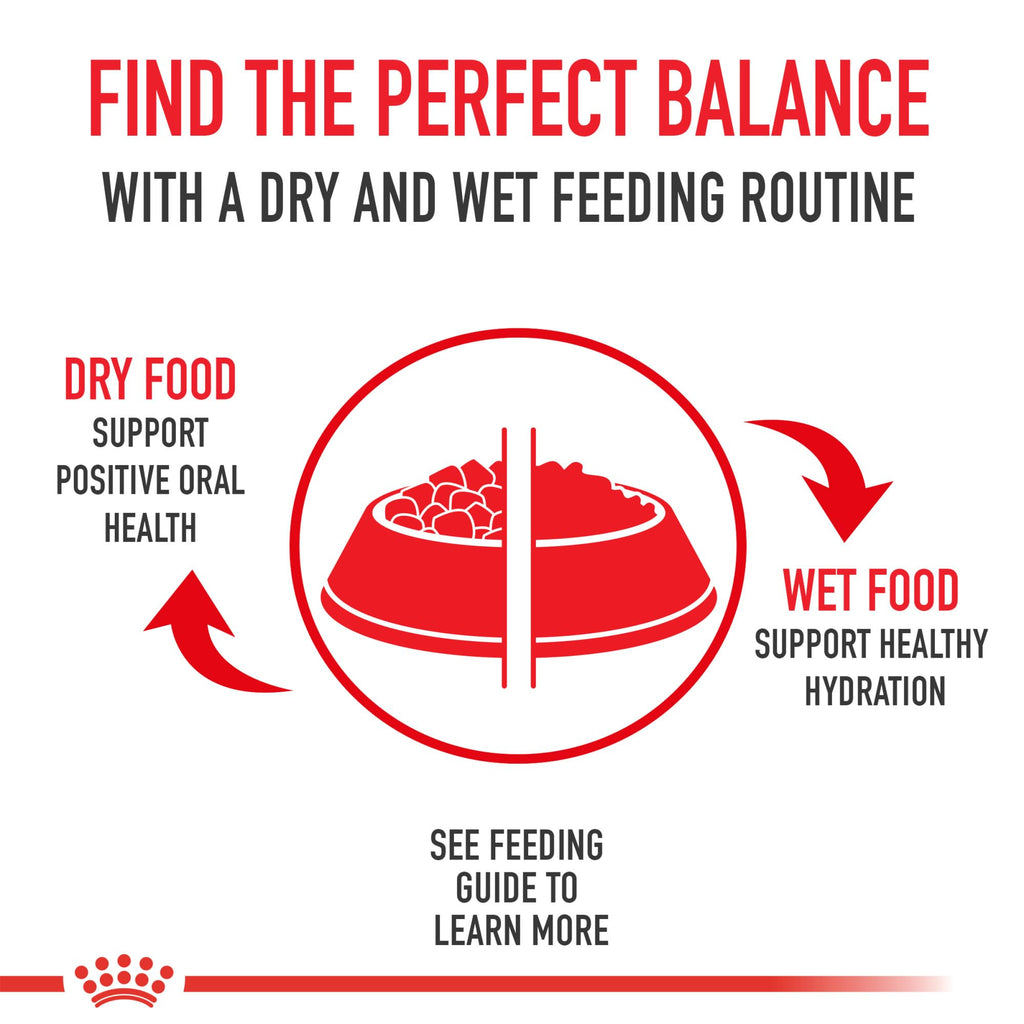 ROYAL CANIN Kitten Food Dry Cat Food, 7 lb Bag