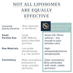 Quicksilver Scientific Liposomal GABA + L Theanine - Calm, Stress Response & Brain Support - Bioavailable GABA Supplement with L Theanine 100mg (1.7oz/50ml)