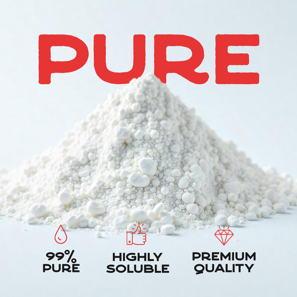 Ecoxall Oxalic Acid Fine Powder, 99% Pure, 1 lb (16 oz), Pack of 1