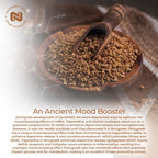 Nootropics Depot Fenugreek Extract Capsules | 500mg | 60 ct | 3% Trigonelline, 1% Protodioscin | Trigonella foenum-graecum | Mood, Fitness, & Metabolic Function