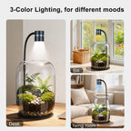 Yeeweek Glass Plant Terrarium with LED Grow Light for Home Office