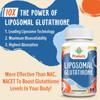 2400MG Liposomal Glutathione, with Vitamin C, Milk Thistle & Alpha-Lipoic Acid, Master Antioxidants, Pure Reduced L-Glutathione - Immune System, Cell Repair, Energy, High Absorption, 60 Softgels