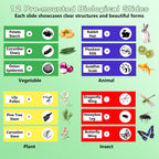 Odatay Microscope for Kids with 12 Slides, 100X-1000X 1080P Digital Handheld Kids Microscope, Mini Portable Pocket Miniscope Science Toys Gifts for 3+ 4 5 6 7 8 9 10 11 12 Year Old Boys Girls, Blue