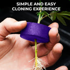 Psycloner Clone Machine, Hydroponics System, Cloner for Plant Cuttings, Propagation, 2 Gallon, Deep Water Culture, DWC (24 Site)
