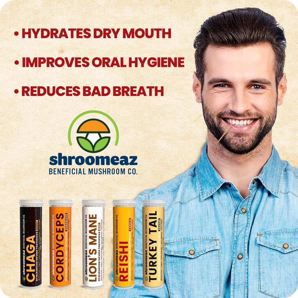 Shroomeaz Flavored Infused Toothpicks (Variety Reishi, Cordyceps, Lions Mane, Turket Tail, Chaga) 5 Pack