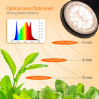 Bstrip 65in Tall Standing Grow Light for Indoor Plants, 18W LED Plant Light