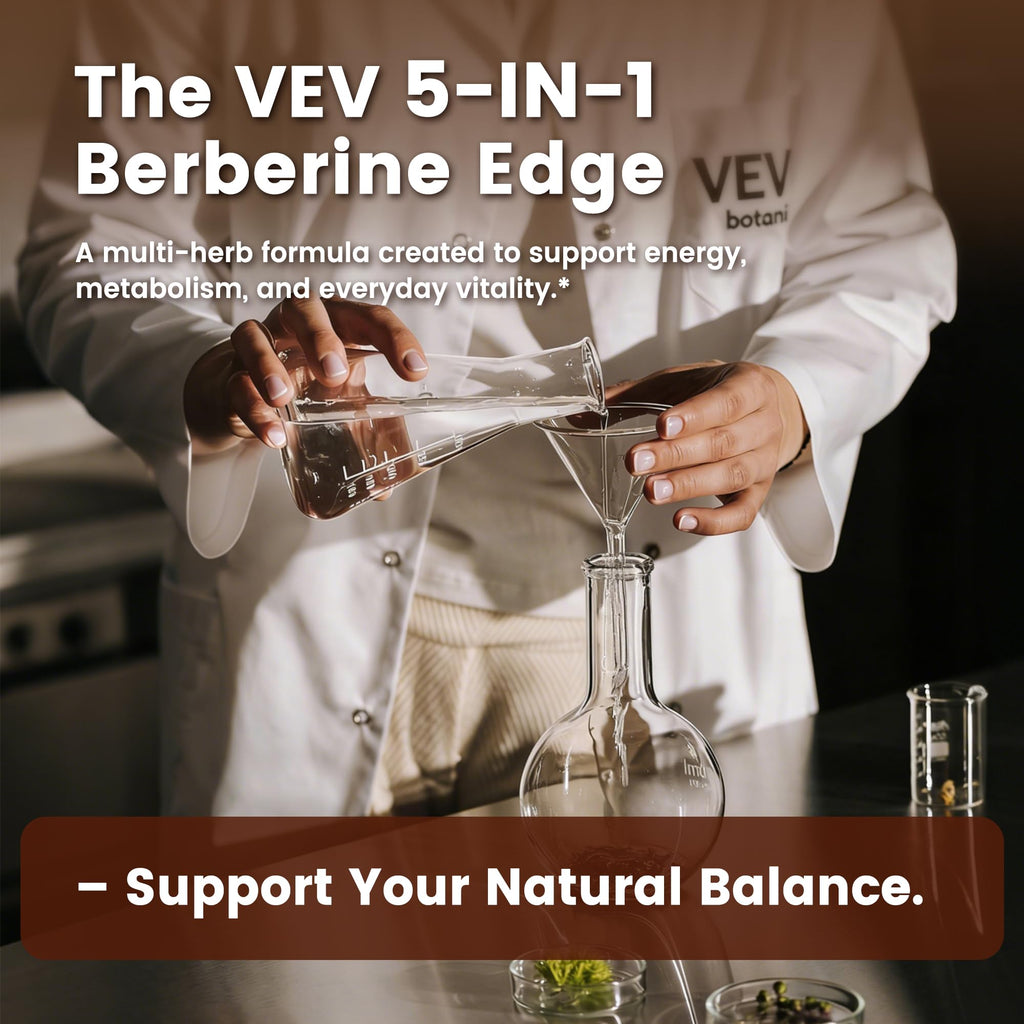 VEV Berberine Supplement with Ceylon Cinnamon for Daily Wellness Support– 2 Bottles (240 Capsules Total)