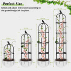 Garden Obelisk Trellis for Climbing Plants Outdoor, 6.2 FT Tomato Cage, Rose, Flowers, Grape, Pea, Cucumber Trellis, Rustproof Plastic Coated Metal Plant Support Trellis for Potted Plants (2 Pack)