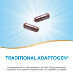 Nature's Way Schisandra Fruit, Traditional Adaptogen*, Vegan, Non-GMO Project Verified, 100 Capsules