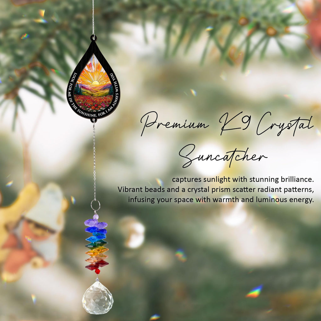 GIFTELIX Suncatcher Look for Me in The Sunshine - Sympathy Gift for Loss of Loved One - Grief Gifts - Heaven Funeral Keepsake - Gift for Women Daughter Friend Sister