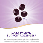 Nature’s Way Sambucus Immune Lozenges – Immune Lozenges for On-the-Go Use*– Zinc, Vitamin C & Black Elderberry Extract – Vegan & Gluten-Free - Original Elderberry Flavor - 72 Count (72 Servings, 3 pk)