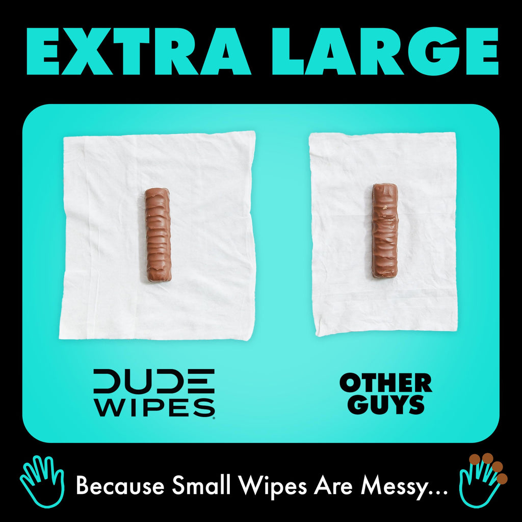 DUDE Wipes Mint Chill Adult Flushable Wet Wipes, Refreshing, 288 Count