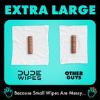 DUDE Wipes Mint Chill Adult Flushable Wet Wipes, Refreshing, 288 Count