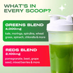 GOBIOTIX Super Greens Powder with Organic Spirulina - Superfood Supplement with Fruit Blend, Probiotics and Enzymes for Digestive Health - Vegan, Non-GMO - 30 Servings (Pomegranate Raspberry - 3 Pack)