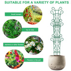 Qaobo Plant Trellis for Potted Plants 12 Pack Stackable Indoor Outdoor Climbing Houseplant Support with Garden Wire for Pothos Hoya Ivy Flower