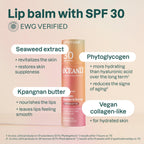 ATTITUDE Oceanly Tinted Lip Balm with SPF 30, EWG Verified, Plastic-Free, Broad Spectrum UVA/UVB Protection with Zinc Oxide, Vegan, Unscented, Terracotta, 0.3 Ounce