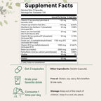 Micro Ingredients 2 Pack Pure Methylated B Complex, 480 Capsules | 11-in-1 Formula with B12, Thiamin, Folate, Inositol, Choline, & Vitamin C | Filler Free | Non-GMO
