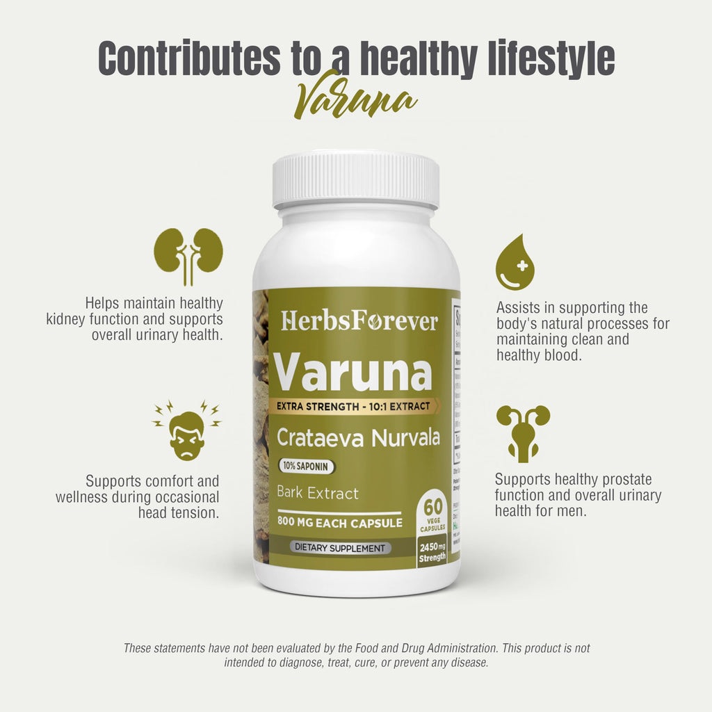 Herbsforever Varuna Nurvala Extract Capsules - Vegan & Gluten Free | Plant Based Supplement for Bladder & Kidney Function, 800 mg per Capsules (60 Nos)