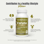 Herbsforever Varuna Nurvala Extract Capsules - Vegan & Gluten Free | Plant Based Supplement for Bladder & Kidney Function, 800 mg per Capsules (60 Nos)