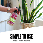 Aunt Fannie’s Houseplant & Garden Insect Remedy, Indoor and Outdoor Plant Insect Killer (6-Pack)