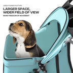 Pet Stroller for Small Dogs 10 lbs, Dog Stroller for Medium Dogs 30 lbs, Cat Strollers for 2 Cats, 3 Wheels Foldable Jogger Puppy Stroller with Storage Basket and Cup Holder, Mint