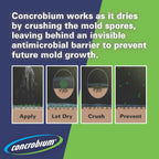 Concrobium Mold Control, 1 Gallon Refill, Eliminates and Prevents Mold, EPA Registered, Bleach Free, Odorless, VOC Free, For Indoor and Outdoor Surfaces
