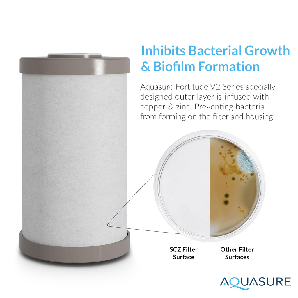 Fortitude V2 Series Sediment/Carbon/Zinc Bacteria Inhibiting Triple Purpose Replacement Filter - Standard (Sediment/Carbon/Zinc, Standard)