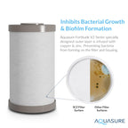 Fortitude V2 Series Sediment/Carbon/Zinc Bacteria Inhibiting Triple Purpose Replacement Filter - Standard (Sediment/Carbon/Zinc, Standard)