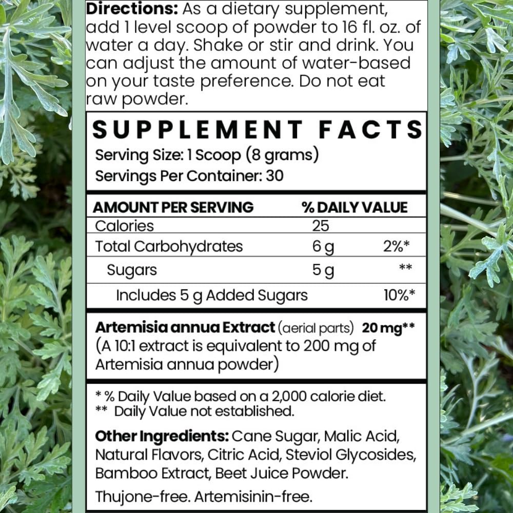 Artemisia Annua Sweet Wormwood Herbal Powder | Leaf Extract Brain Support | Artemisia Supplement | Sweet Wormwood Extract | Non-GMO, Vegan, Gluten-Free | 30 Servings/8.5 Oz (240g)