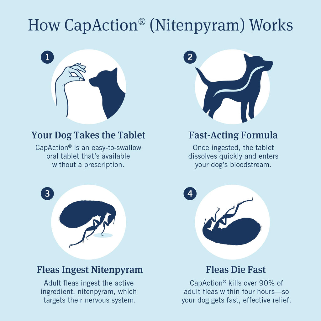 PetArmor CAPACTION Oral Flea Tablets Dogs 25+ lbs, Nitenpyram, 6-Dose