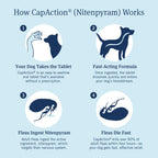 PetArmor CAPACTION Oral Flea Tablets Dogs 25+ lbs, Nitenpyram, 6-Dose