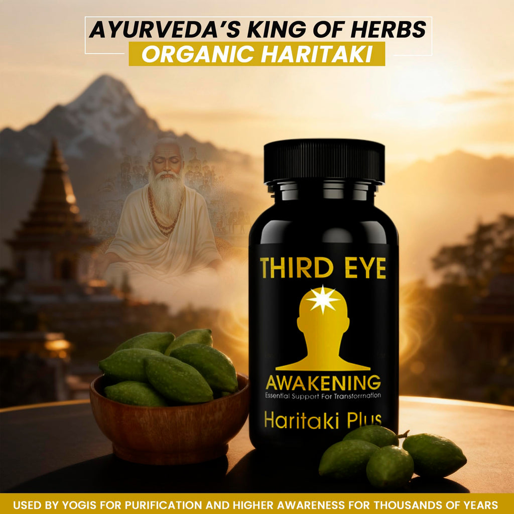Kailash Herbals Third Eye Awakening – Organic Haritaki Capsules (Terminalia Chebula) – 650 mg – 100 Vegan Capsules – Ayurvedic Herbal Supplement
