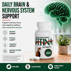 Fitina Brain Supplements for Memory and Focus with Vitamin B6 & Thiamine — High-Dose B Vitamins Nervous System and Cognitive Health Support, Daily Supplement Formula for Adults, 100 Tablets (2-Pack)