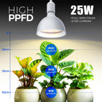 Barrina Hanging Grow Light Bulbs for Indoor Plant, 25W Full Spectrum, Timer