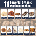 Mushroom Coffee, 11 Superfood Mushrooms includes Lion's Mane, Reishi, Chaga & Ashwagandha, Instant Mushroom Coffee Organic for Energy, Memory, Digestion & Detox, Low Caffeine & Sugar Free, 5.3oz
