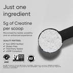 Sports Research Creatine Monohydrate - Gain Lean Muscle, Improve Performance and Strength and Support Workout Recovery - 5 g Micronized Creatine - 35.27 oz (Pack of 2)