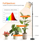 Bstrip 70.8in Tall Grow Light with Stand, Standing Plant Light with Timer