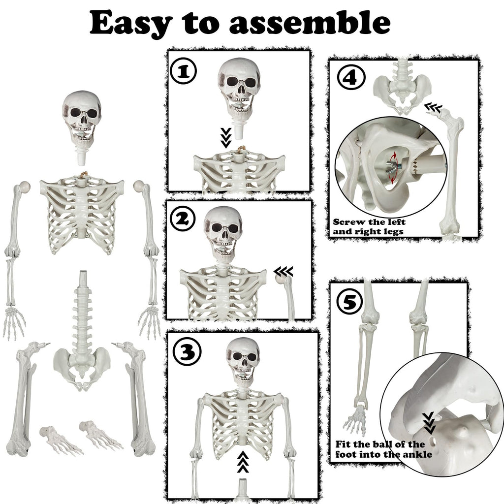 5.9ft Halloween Life Size Skeleton Realistic Full Body Skeletons Plastic Human Bones with Movable Joints for Halloween Props Spooky Party Decoration
