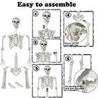 5.9ft Halloween Life Size Skeleton Realistic Full Body Skeletons Plastic Human Bones with Movable Joints for Halloween Props Spooky Party Decoration