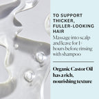 Sky Organics - Castor Oil Organic - Volumizing Hair Oil - Scalp, Lashes, Brows - Pure Castor Oil Cold Pressed - Natural Conditioner - Omega Fatty Acids, Vegan - Beauty, Hair, & Self Care - 8oz, 2 Pack