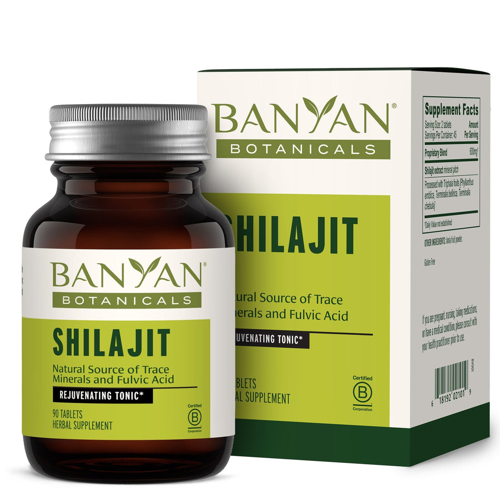 Banyan Botanicals Shilajit – 90 Pure Pressed Tablets for Energy & Vitality*
