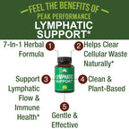 Lymphatic Drainage Supplement. 7-in-1 Lymph System Support Capsules to Detox & Cleanse. with Vegan Ingredients Echinacea Root, Red Clover Blossom, Burdock Root, Red Root, Licorice Root for Women, Men