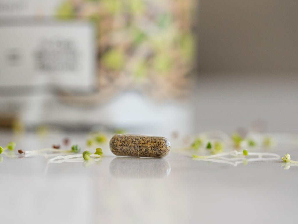 KOYAH - Organic Broccoli Sprout Capsules – Freeze-Dried Whole Broccoli Sprouts – 3rd Party Tested for Active Myrosinase & Glucoraphanin (Sulforaphane Glucosinolate) - 60 Capsules