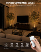EZVALO Spotlight Indoor with Remote, 4000mAh Rechargeable Plant Spot Lights Indoor, Wireless Mini Uplights with Dimmable & 3-CCT, Timer, Accent Lighting for Pictures, Artwork, Displays (2-Pack)